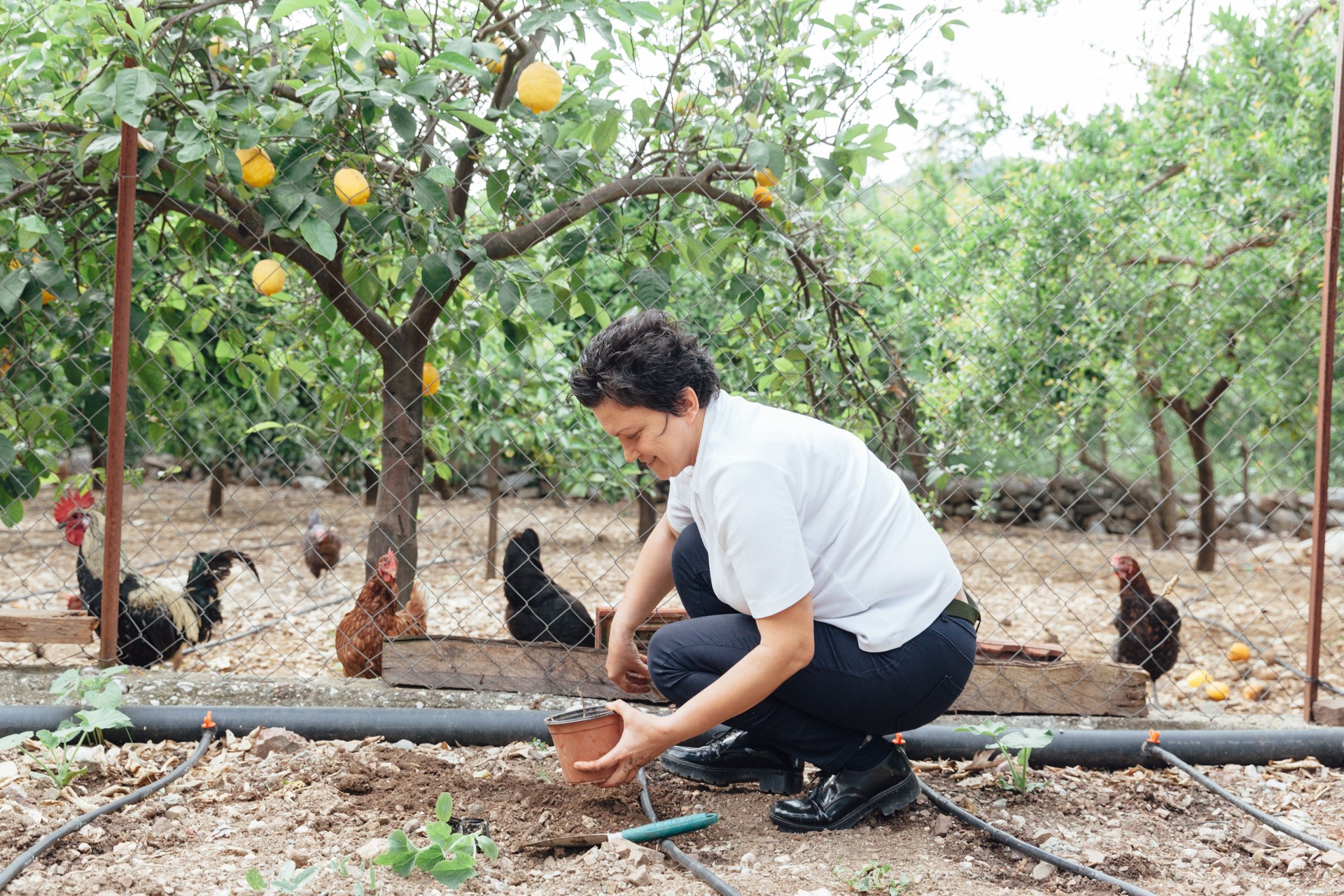 Mujeres de la felicidad plantar semillas de melón en jardín orgánico